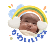 855604460