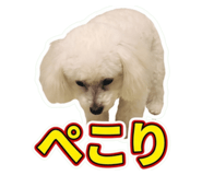 855605022
