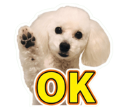 855605023