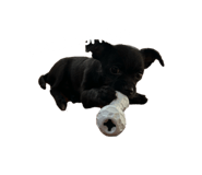 855605314