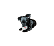 855605315