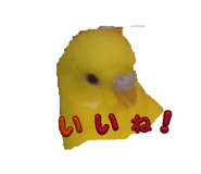 855605322