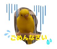 855605334
