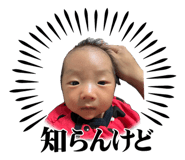 855605404