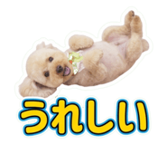 855605454