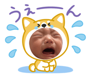 855605553
