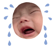 855605568