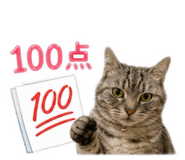 855605762