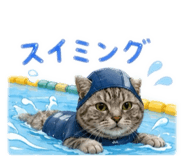 855605765