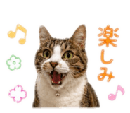 855605766