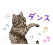 855605776