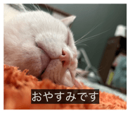 855605781