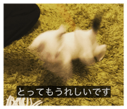 855605783