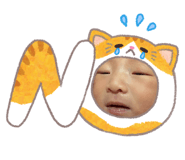 855605818