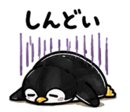 855606148