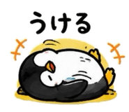 855606151