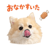 855606198