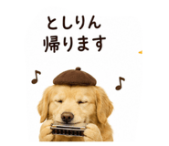 855606595