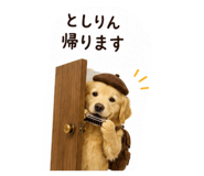 855606597