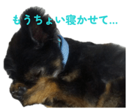 855606843