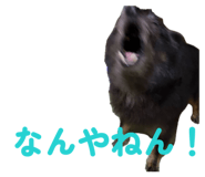 855606853