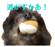 855606855