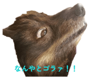 855606856