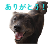 855606857