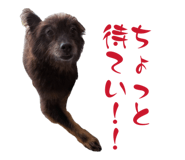 855606864