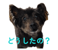 855606869