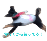 855606874