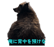 855606879