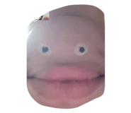 855606881
