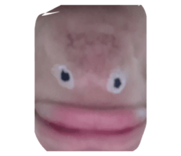 855606883