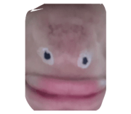 855606883