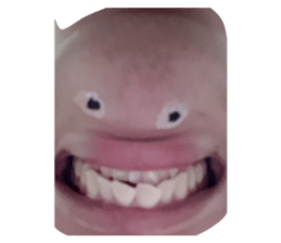 855606884