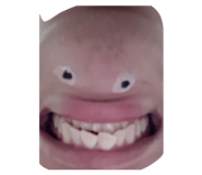 855606884