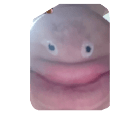 855606885