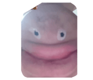 855606885