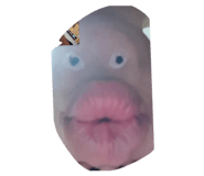 855606886