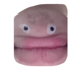 855606887