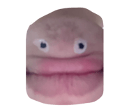 855606888