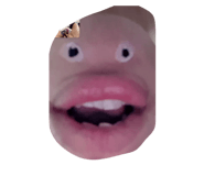 855606890