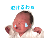 855606951