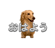 855606969
