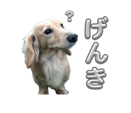 855606970