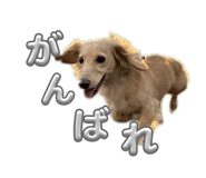 855606972