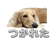 855606974