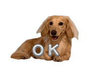 855606975