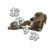 855606976
